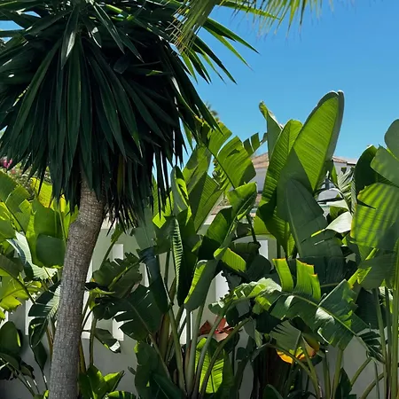 Bliss - Dream Luxury 4-bedroom With Exclisive Heated Private Pool & Jacuzzi, Tropical Garden, Marbesa - Steps From The Cabopino Marbellac