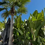 Bliss - Serenity 4-bedroom With Exclisive Heated Private Pool & Jacuzzi, Tropical Garden, Marbesa - Steps From The Cabopino Villa