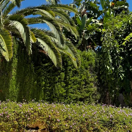 Family Holiday Bliss In Marbella- Beautiful Brand-New 4 Bedroom Villa With Garden, Private Pool & Jacuzzi, Marbesa 500 M To The Cabopino Beach Villa