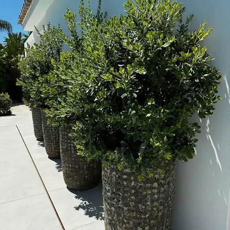 Villa Bliss - Dream Luxury 4-bedroom With Exclisive Heated Private Pool & Jacuzzi, Tropical Garden, Marbesa - Steps From The Cabopino Marbella