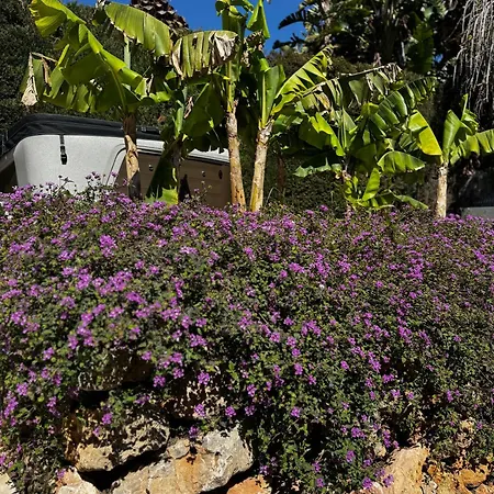 Family Holiday Bliss In Marbella- Beautiful Brand-New 4 Bedroom Villa With Garden, Private Pool & Jacuzzi, Marbesa 500 M To The Cabopino Beach Villa *