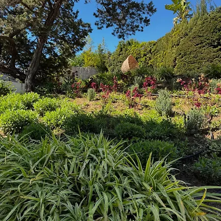 Villa Bliss - Serenity 4-bedroom With Exclisive Heated Private Pool & Jacuzzi, Tropical Garden, Marbesa - Steps From The Cabopino *